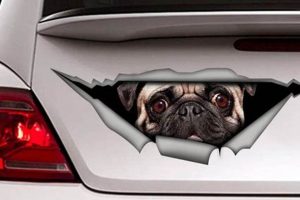 Dog Sticker On Car My Caring Dog – Tips, Stories, and Care Guides for Loving Pet Owners Dog Sticker On Car | My Caring Dog – Tips, Stories, and Care Guides for Loving Pet Owners