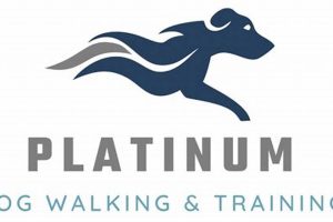 Platinum For Dogs My Caring Dog – Tips, Stories, and Care Guides for Loving Pet Owners Platinum For Dogs | My Caring Dog – Tips, Stories, and Care Guides for Loving Pet Owners