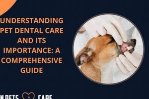 Get Affordable Dog Dental Care: Tips & Tricks My Caring Dog – Tips, Stories, and Care Guides for Loving Pet Owners Get Affordable Dog Dental Care: Tips & Tricks | My Caring Dog – Tips, Stories, and Care Guides for Loving Pet Owners