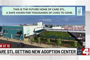 Best Care STL Adoption Center: Find Your Dog My Caring Dog – Tips, Stories, and Care Guides for Loving Pet Owners Best Care STL Adoption Center: Find Your Dog | My Caring Dog – Tips, Stories, and Care Guides for Loving Pet Owners