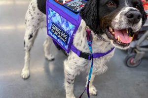 Purchase Service Dog My Caring Dog – Tips, Stories, and Care Guides for Loving Pet Owners Purchase Service Dog | My Caring Dog – Tips, Stories, and Care Guides for Loving Pet Owners