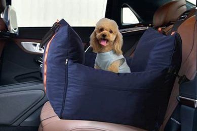 Best Car Seat Dog Beds & Carriers for Safe Travels My Caring Dog – Tips, Stories, and Care Guides for Loving Pet Owners Best Car Seat Dog Beds & Carriers for Safe Travels | My Caring Dog – Tips, Stories, and Care Guides for Loving Pet Owners