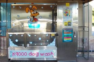 Best Mobile Dog Car Wash Station Near You My Caring Dog – Tips, Stories, and Care Guides for Loving Pet Owners Best Mobile Dog Car Wash Station Near You | My Caring Dog – Tips, Stories, and Care Guides for Loving Pet Owners