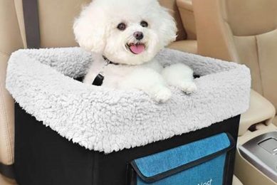 Top Burgeonnest Dog Car Seat: Safe & Secure My Caring Dog – Tips, Stories, and Care Guides for Loving Pet Owners Top Burgeonnest Dog Car Seat: Safe & Secure | My Caring Dog – Tips, Stories, and Care Guides for Loving Pet Owners