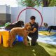Best Dog Day Care in AZ: Find Top Centers | My Caring Dog – Tips, Stories, and Care Guides for Loving Pet Owners