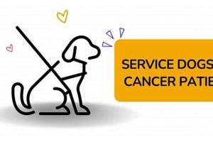 Service Dogs for Cancer Patients: A Guide My Caring Dog – Tips, Stories, and Care Guides for Loving Pet Owners Service Dogs for Cancer Patients: A Guide | My Caring Dog – Tips, Stories, and Care Guides for Loving Pet Owners