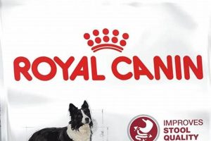 Digestive Care Dog Food Amazon My Caring Dog – Tips, Stories, and Care Guides for Loving Pet Owners Digestive Care Dog Food Amazon | My Caring Dog – Tips, Stories, and Care Guides for Loving Pet Owners