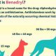 Can Benadryl Help Dog Car Sickness? Vet Advice | My Caring Dog – Tips, Stories, and Care Guides for Loving Pet Owners