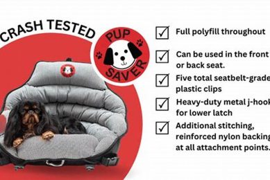 Top Crash-Tested Dog Car Seats for Safe Travels My Caring Dog – Tips, Stories, and Care Guides for Loving Pet Owners Top Crash-Tested Dog Car Seats for Safe Travels | My Caring Dog – Tips, Stories, and Care Guides for Loving Pet Owners