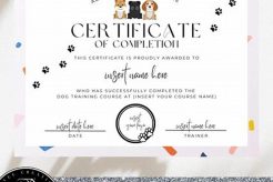 Best Certificate in Dog Care & Training: Guide My Caring Dog – Tips, Stories, and Care Guides for Loving Pet Owners Best Certificate in Dog Care & Training: Guide | My Caring Dog – Tips, Stories, and Care Guides for Loving Pet Owners