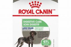 Best Dog Care Food Guide: Tips & Nutrition My Caring Dog – Tips, Stories, and Care Guides for Loving Pet Owners Best Dog Care Food Guide: Tips & Nutrition | My Caring Dog – Tips, Stories, and Care Guides for Loving Pet Owners