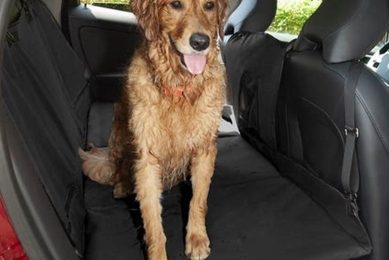 Best Chewy Dog Car Seat Covers for Protection My Caring Dog – Tips, Stories, and Care Guides for Loving Pet Owners Best Chewy Dog Car Seat Covers for Protection | My Caring Dog – Tips, Stories, and Care Guides for Loving Pet Owners
