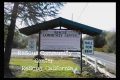 Car Dog Rescue Community Centers My Caring Dog – Tips, Stories, and Care Guides for Loving Pet Owners Car Dog Rescue Community Centers | My Caring Dog – Tips, Stories, and Care Guides for Loving Pet Owners