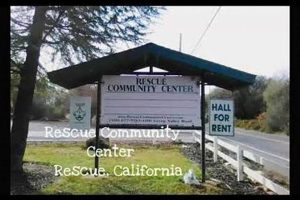 Car Dog Rescue Community Centers | My Caring Dog – Tips, Stories, and Care Guides for Loving Pet Owners