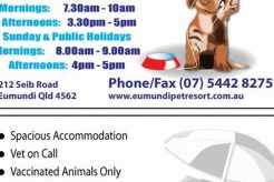 Best Dog Day Care in Eumundi, QLD My Caring Dog – Tips, Stories, and Care Guides for Loving Pet Owners Best Dog Day Care in Eumundi, QLD | My Caring Dog – Tips, Stories, and Care Guides for Loving Pet Owners