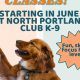 North Portland Club K9 | My Caring Dog – Tips, Stories, and Care Guides for Loving Pet Owners