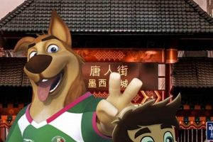 Training Your Car Dog: Mastering the Turn | My Caring Dog – Tips, Stories, and Care Guides for Loving Pet Owners