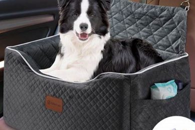 Best Dog Car Seats for Medium-Sized Dogs: Safe Travels My Caring Dog – Tips, Stories, and Care Guides for Loving Pet Owners Best Dog Car Seats for Medium-Sized Dogs: Safe Travels | My Caring Dog – Tips, Stories, and Care Guides for Loving Pet Owners