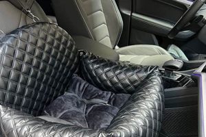 Top Designer Dog Car Seats for Safe Travel My Caring Dog – Tips, Stories, and Care Guides for Loving Pet Owners Top Designer Dog Car Seats for Safe Travel | My Caring Dog – Tips, Stories, and Care Guides for Loving Pet Owners
