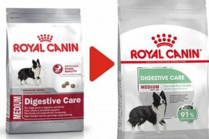 Best Digestive Care Dog Food: Feeding Guide My Caring Dog – Tips, Stories, and Care Guides for Loving Pet Owners Best Digestive Care Dog Food: Feeding Guide | My Caring Dog – Tips, Stories, and Care Guides for Loving Pet Owners