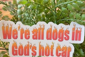 Decoding "Dogs in God's Hot Car": Origin & Meaning My Caring Dog – Tips, Stories, and Care Guides for Loving Pet Owners Decoding "Dogs in God's Hot Car": Origin & Meaning | My Caring Dog – Tips, Stories, and Care Guides for Loving Pet Owners