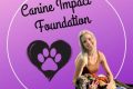 Canine Impact Foundation My Caring Dog – Tips, Stories, and Care Guides for Loving Pet Owners Canine Impact Foundation | My Caring Dog – Tips, Stories, and Care Guides for Loving Pet Owners