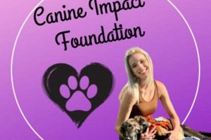 Canine Impact Foundation My Caring Dog – Tips, Stories, and Care Guides for Loving Pet Owners Canine Impact Foundation | My Caring Dog – Tips, Stories, and Care Guides for Loving Pet Owners