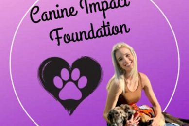 Canine Impact Foundation My Caring Dog – Tips, Stories, and Care Guides for Loving Pet Owners Canine Impact Foundation | My Caring Dog – Tips, Stories, and Care Guides for Loving Pet Owners