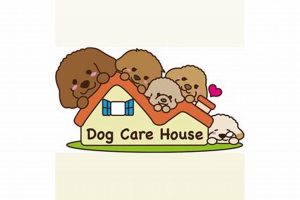 Best Dog Care House: Boarding & Daycare | My Caring Dog – Tips, Stories, and Care Guides for Loving Pet Owners