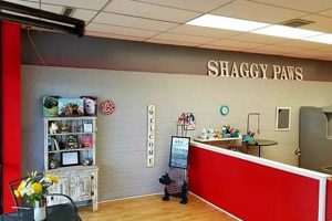 Best Dog Day Care in Lake Zurich, IL: Top Picks My Caring Dog – Tips, Stories, and Care Guides for Loving Pet Owners Best Dog Day Care in Lake Zurich, IL: Top Picks | My Caring Dog – Tips, Stories, and Care Guides for Loving Pet Owners