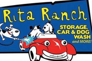 Best Rita Ranch Car & Dog Wash | Top Services My Caring Dog – Tips, Stories, and Care Guides for Loving Pet Owners Best Rita Ranch Car & Dog Wash | Top Services | My Caring Dog – Tips, Stories, and Care Guides for Loving Pet Owners