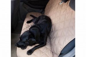 Best 3 Dog Pet Supply Car Seat Covers for SUVs My Caring Dog – Tips, Stories, and Care Guides for Loving Pet Owners Best 3 Dog Pet Supply Car Seat Covers for SUVs | My Caring Dog – Tips, Stories, and Care Guides for Loving Pet Owners