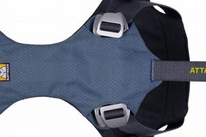 Best Load Up Dog Car Harness for Safe Travels | My Caring Dog – Tips, Stories, and Care Guides for Loving Pet Owners