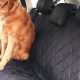 Top 5 Best Dog Blankets for Car Travel in 2024 | My Caring Dog – Tips, Stories, and Care Guides for Loving Pet Owners