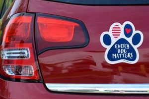 Cute Dog Car Magnets: Pawsome Rides | My Caring Dog – Tips, Stories, and Care Guides for Loving Pet Owners