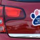 Cute Dog Car Magnets: Pawsome Rides | My Caring Dog – Tips, Stories, and Care Guides for Loving Pet Owners