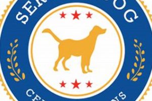 Car Service Dog Certification: Info & Resources | My Caring Dog – Tips, Stories, and Care Guides for Loving Pet Owners