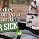 Best Car Sickness Dog Treatments & Remedies | My Caring Dog – Tips, Stories, and Care Guides for Loving Pet Owners