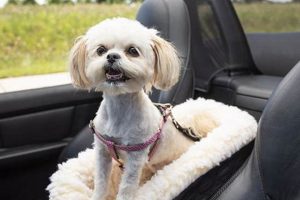 Top 5 Best Dog Car Seats: Safe & Secure | My Caring Dog – Tips, Stories, and Care Guides for Loving Pet Owners
