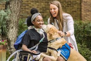 Top Canine Companions Jobs: Car Dog Edition | My Caring Dog – Tips, Stories, and Care Guides for Loving Pet Owners