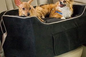 Best Dual Dog Car Seats: Safe & Secure | My Caring Dog – Tips, Stories, and Care Guides for Loving Pet Owners