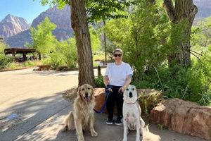 Best Dog Day Care Near Zion National Park My Caring Dog – Tips, Stories, and Care Guides for Loving Pet Owners Best Dog Day Care Near Zion National Park | My Caring Dog – Tips, Stories, and Care Guides for Loving Pet Owners