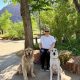 Best Dog Day Care Near Zion National Park | My Caring Dog – Tips, Stories, and Care Guides for Loving Pet Owners