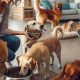 Best In-Home Dog Care Near Me: Top Sitters | My Caring Dog – Tips, Stories, and Care Guides for Loving Pet Owners