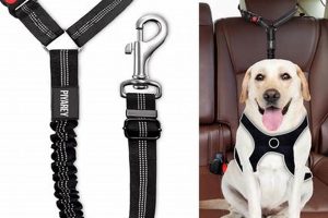 Best Dog Car Harness Attachments for Safe Travel My Caring Dog – Tips, Stories, and Care Guides for Loving Pet Owners Best Dog Car Harness Attachments for Safe Travel | My Caring Dog – Tips, Stories, and Care Guides for Loving Pet Owners
