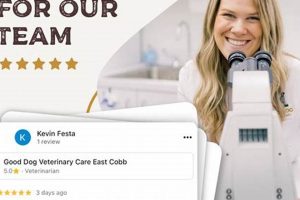 Best Dog Vet Care in East Cobb | Top Clinics My Caring Dog – Tips, Stories, and Care Guides for Loving Pet Owners Best Dog Vet Care in East Cobb | Top Clinics | My Caring Dog – Tips, Stories, and Care Guides for Loving Pet Owners
