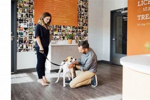 Best Dog Day Care Franchise Opportunities in 2024 My Caring Dog – Tips, Stories, and Care Guides for Loving Pet Owners Best Dog Day Care Franchise Opportunities in 2024 | My Caring Dog – Tips, Stories, and Care Guides for Loving Pet Owners