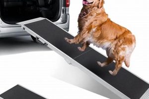 Best Dog Car Ramps for SUVs & Trucks My Caring Dog – Tips, Stories, and Care Guides for Loving Pet Owners Best Dog Car Ramps for SUVs & Trucks | My Caring Dog – Tips, Stories, and Care Guides for Loving Pet Owners