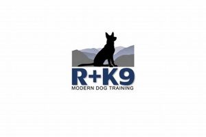 Best R K9 Remote Dog Training Collars My Caring Dog – Tips, Stories, and Care Guides for Loving Pet Owners Best R K9 Remote Dog Training Collars | My Caring Dog – Tips, Stories, and Care Guides for Loving Pet Owners