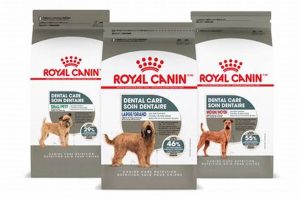 Best Royal Canin Oral Care Dog Food Guide My Caring Dog – Tips, Stories, and Care Guides for Loving Pet Owners Best Royal Canin Oral Care Dog Food Guide | My Caring Dog – Tips, Stories, and Care Guides for Loving Pet Owners